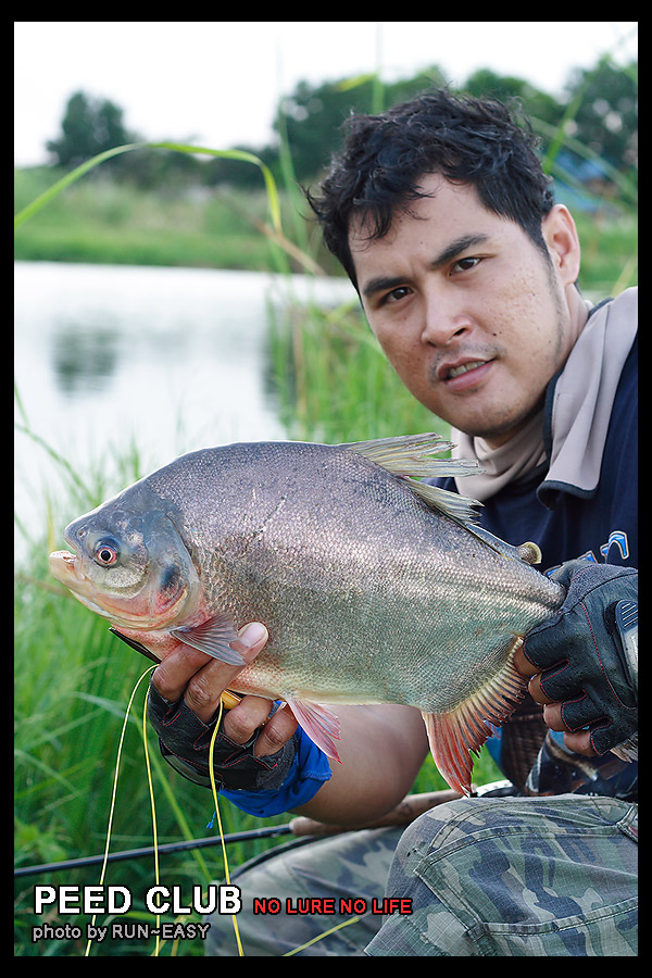 หล่อๆไปเลยพี่โผมๆๆๆๆๆๆ  :cheer: :cheer: :cheer: :cheer: