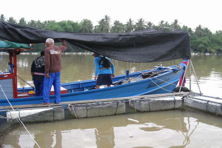 


 ข้างๆที่เรือจอดอยู่เป็นกระชังกระพง 10Kg Up มันหน้าแอบตีเหยื่อปลอม  :laughing: :laughing: