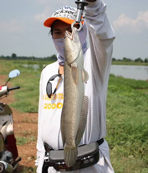  [b]จัดไป[/b] :cool: :cool: :cool: :cool: