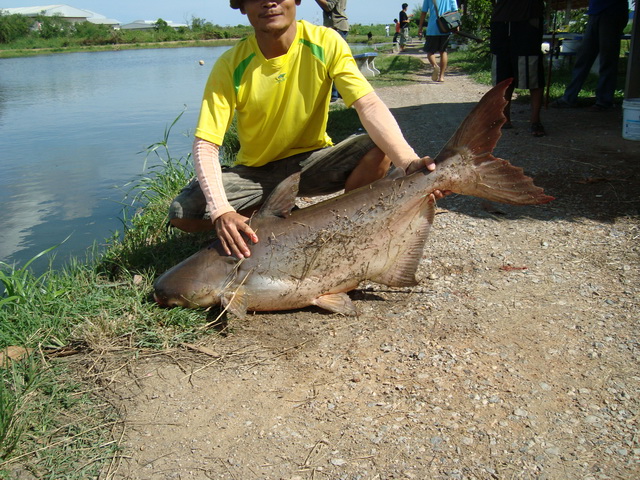 ขึน้มาอย่างเร็ว   :cheer: :cheer: :cheer: