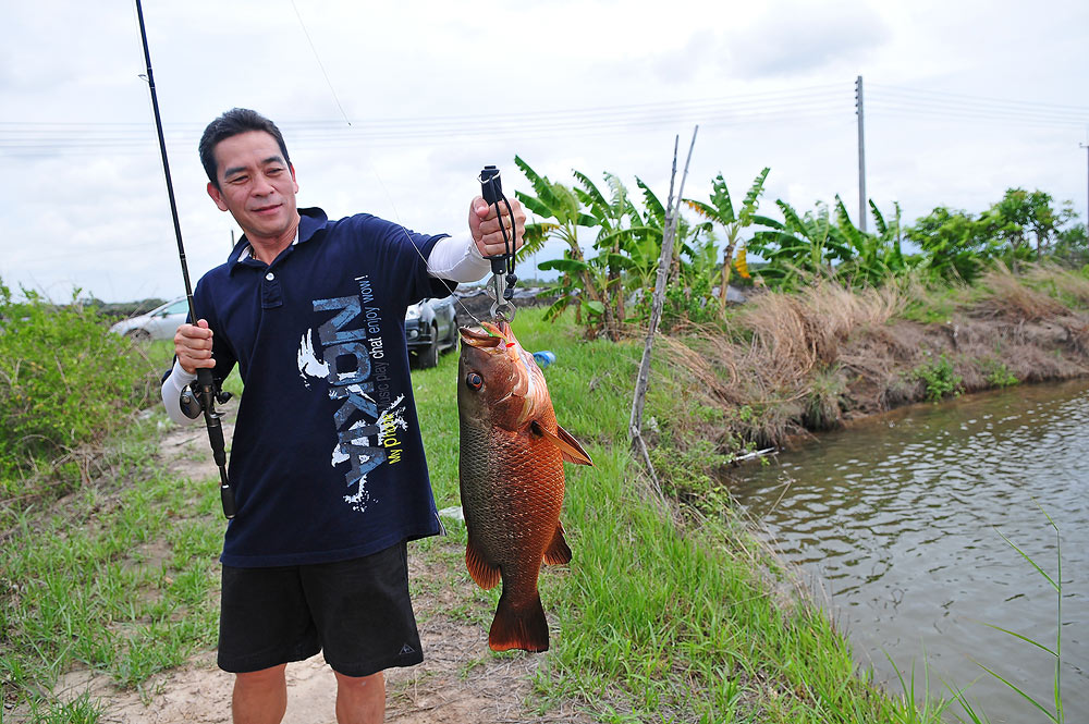 



[b] อ้าววววว  ลุงกุ่ย  ดูท่าทาง เหมือนกลัวๆเลยนะ  เค้ารู้กัน  ว่าให้ถือถ่าย  นิสายยยยยยยยย อ