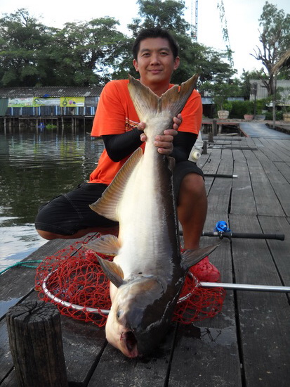 น้าวันบอกชอบท่านี้..หล่อนะตะเอ้ง..+555+