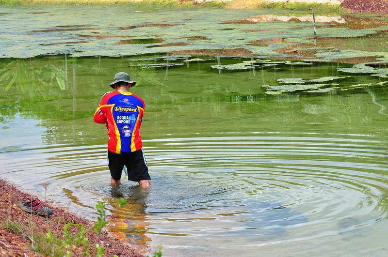 สาหร่ายแมร่งเยอะเจงๆ
