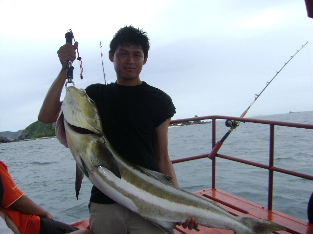 เมื่อ Big Cobia เจอสัตว์หย่ายๆๆๆๆๆ