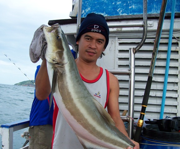 ตามมาติดๆกับผมเอง เอก big cobia กับช่อนทะเลเหมือนกัน  แต่ตัวเล็กกว่า นี๊ดดดดดนึง