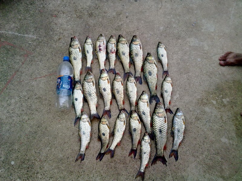 จัดหนักมาเลย 6โมงเช้า-8โมง ได้มาเท่า