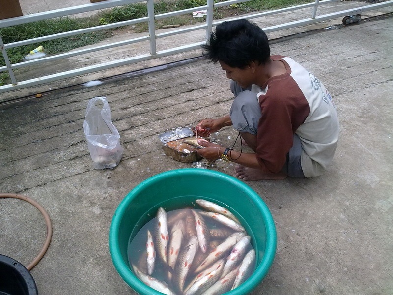 โทษของการแอบหนีไปคนเดียว เอามาเท่า