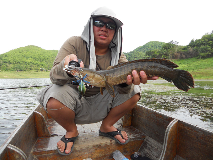[q][i]อ้างถึง: Mong_Actionlure posted: 02-06-2554, 20:39:39[/i]

+หวัดดีคร๊าบน้าเอ ขออนุญาติตามหาป