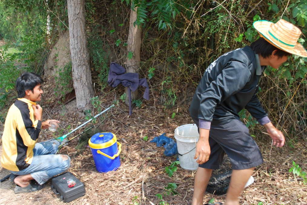 มีหลุดมุดหนีเข้าก่อไผ่ด้วยครับ