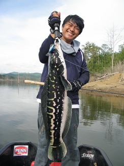 หล่อๆ อ๊ะจัดไป  :grin: :grin: :grin:
