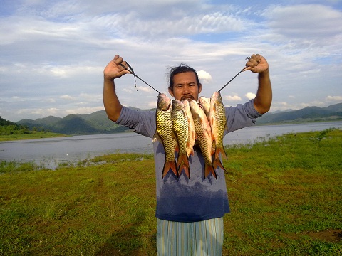 กระสูบล้วนๆครับ(เฮ่อ ถอนหายใจ)จะมีโ