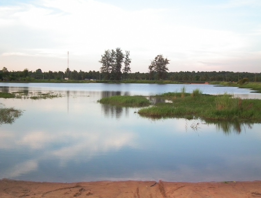 สภาพหมานใหม่ครับ เป็นปลาป่าครับ ป๊