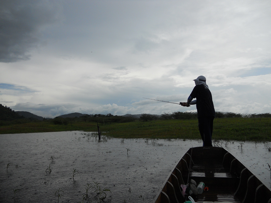 
   ฝนลงเราก็ไม่หยุดหลบฝนนะครับ  หวดกันเลย  ถ้าหยุดหลบฝนคงจะต้องเลิกตกไปเลย ฝนลงยาว เย็นดีจริงๆๆ   