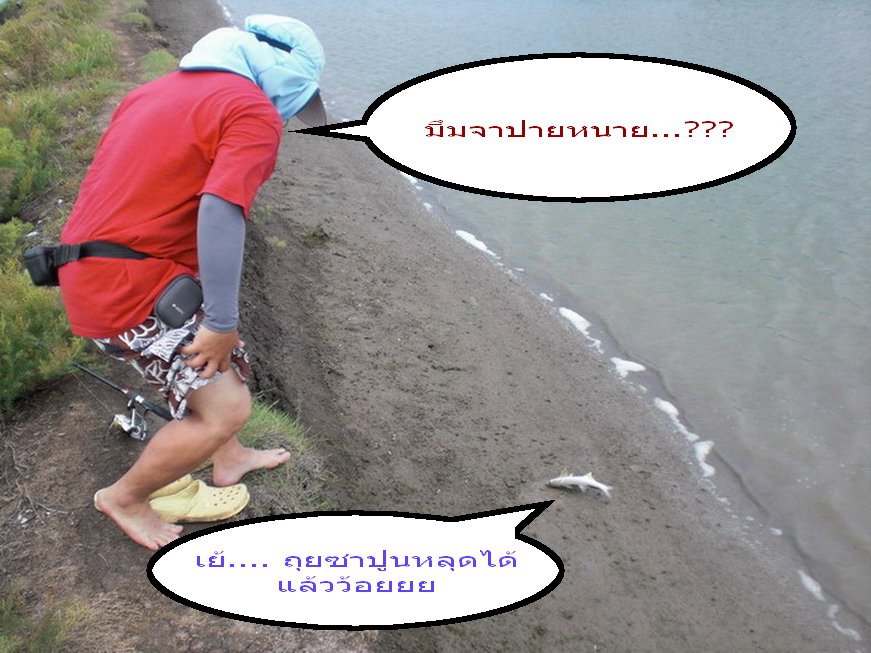 หลังจากปลาฟาวล์  ตัวที่ 3 ของผมผ่านไ