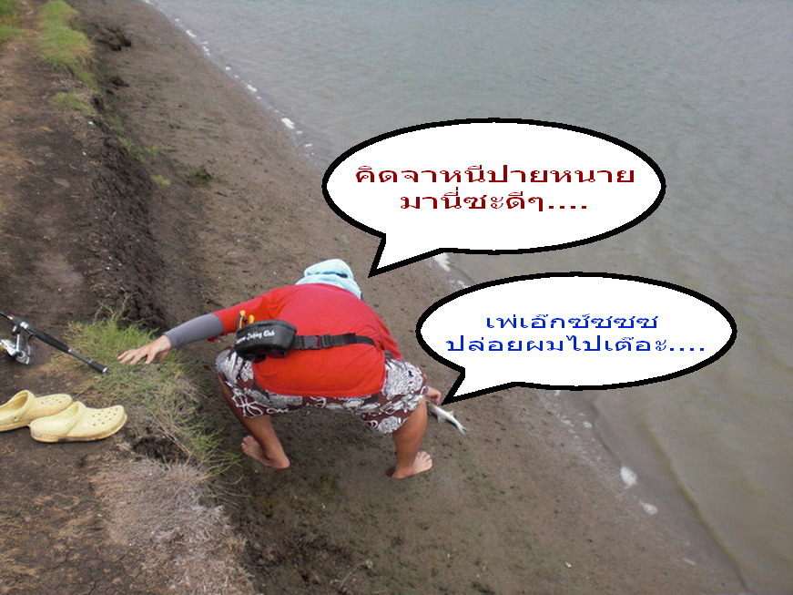 ภาพนี้  สื่อให้รู้เลยครับ...........  

[b]"ปอ 