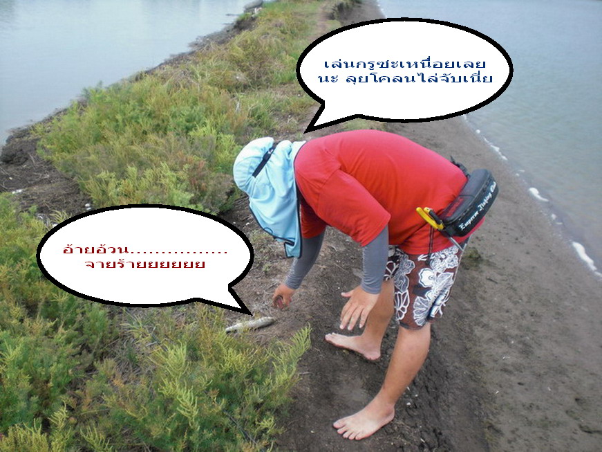น้องเอ๊กซ์บอก......... [b]"เพ่เอก....  แม่ม เล่