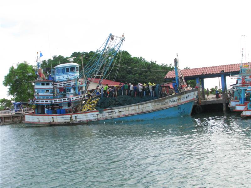 ผ่านเรืออวนล้อมมาได้ยินเสียงลูกเรือร้องเพลงเพื่อเข้าจังหวะสาวอวนมาเป็นระยะ  :grin:  :grin:  :grin:  