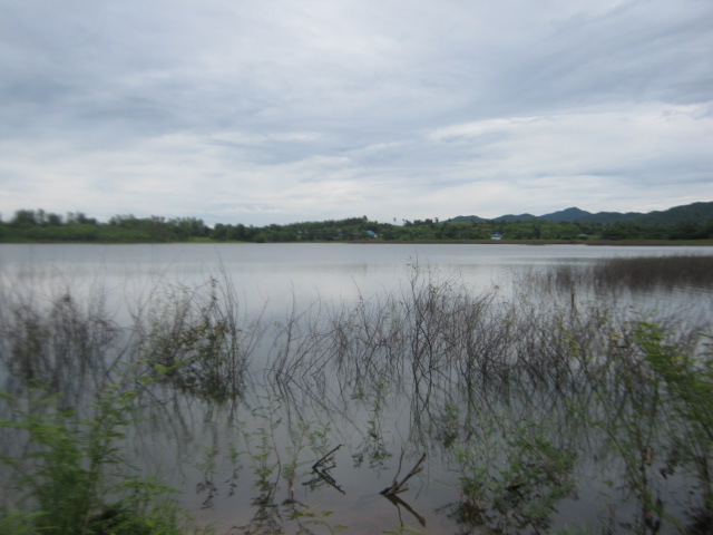 บรรยากาศสบายๆไร้เมฆฝนครับ