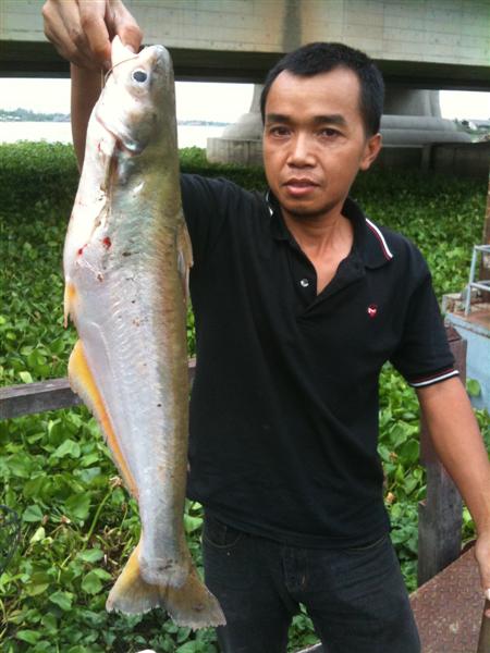  [b]พอ..ตัวนี้ขึ้นมา...... โอ้ว..แม่เจ้า..ไม