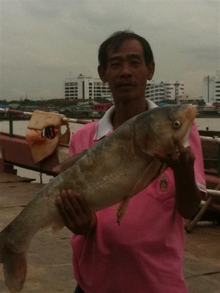  [b]อ้ายซ่ง...ลอยมาผงาบๆๆ....ก่อนที่จะโด