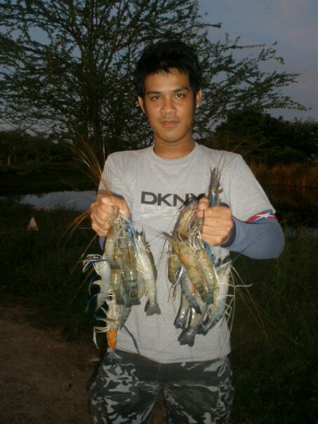 กุ้งบางปะกง ..สั้นๆๆครับ