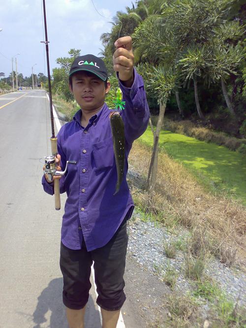 [q][i]อ้างถึง: tat.fishing posted: 10-06-2554, 00:53:05[/i]

แถวหน้าเลยครับ :grin: :grin: :grin:[/