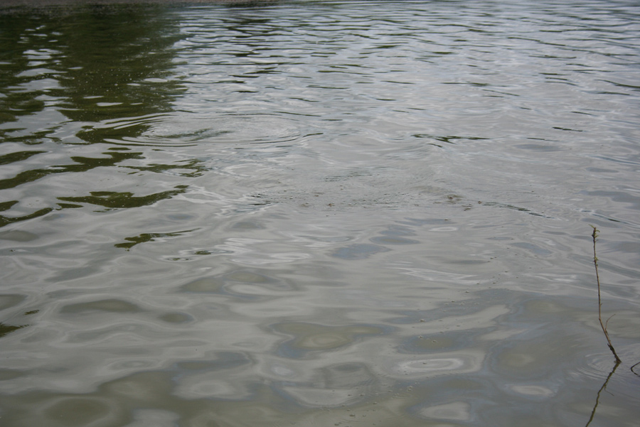 ขณะที่น้าแอ๊ปกำลังทำความเร็วกับเรือในการหาเป้าหมาย....

เรือชะลอลงอย่างรวดเร็ว...................โ
