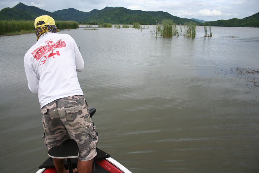 [q][i]อ้างถึง: Mong_Actionlure posted: 11-06-2554, 19:32:51[/i]

+ว้าววว