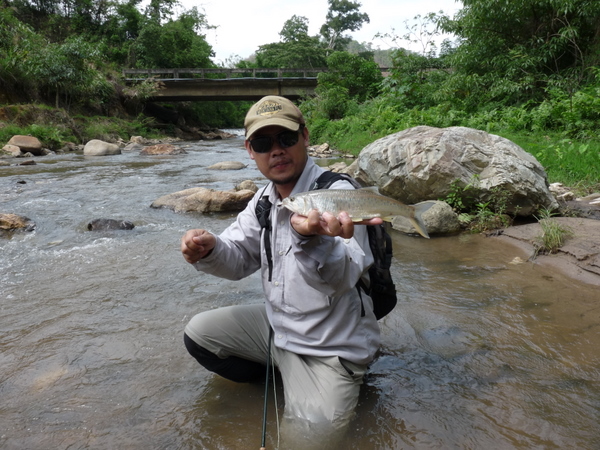 ปลาตัวนี้ แถวบ้านผม เรียกว่า ปลาบ้กหาว หรือเรียกให้มันเท์หน่อย ก็ เรียกว่า  Burmese Trout 