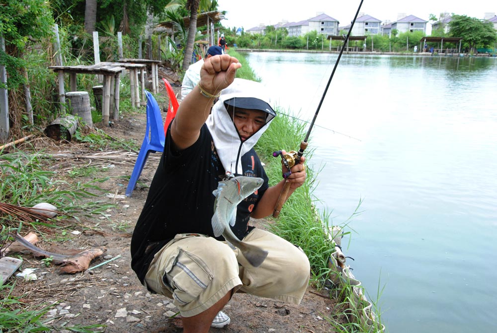 เอาก็เอา  จัดให้เพ่ สักรูป  :laughing: :laughing: :laughing: