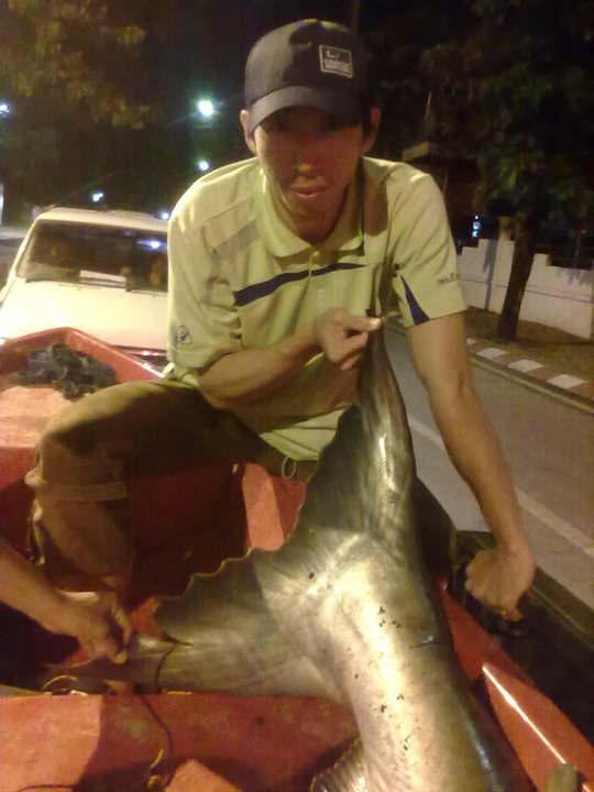 ชมใบพัดกันชัดๆ ครับ :smile: :smile: ใหญ่มั่กๆ