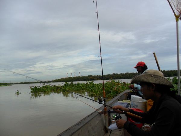 ท้ายเรือกำลังทำการ  ต๋งคันพร้อมกันเลย...

ตึง ๆ หนัก ๆ ดีด หน่อย ๆ......

ยกได้เลยครับ.....ไม่มี