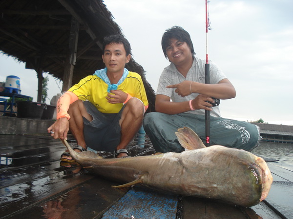 หลังจากน้าเล็กโดนคอมโบ...ถ่ายภาพไปหลายมุม
พออัดปลาชึ้นได้ผล..ออกมาเป็นแบบนี้ครับ..+5555+