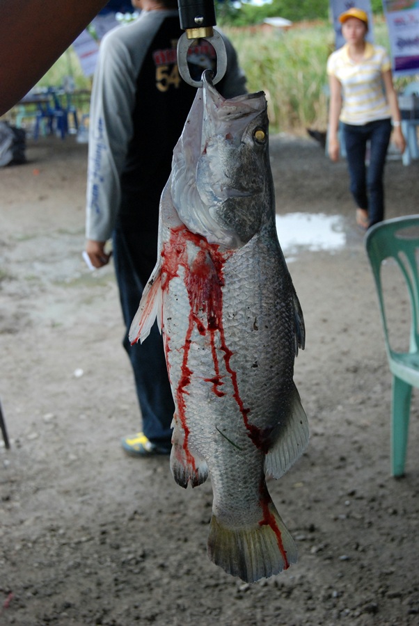 กินลึกจนเลือดสาดเลย :ohh: :ohh: :ohh: