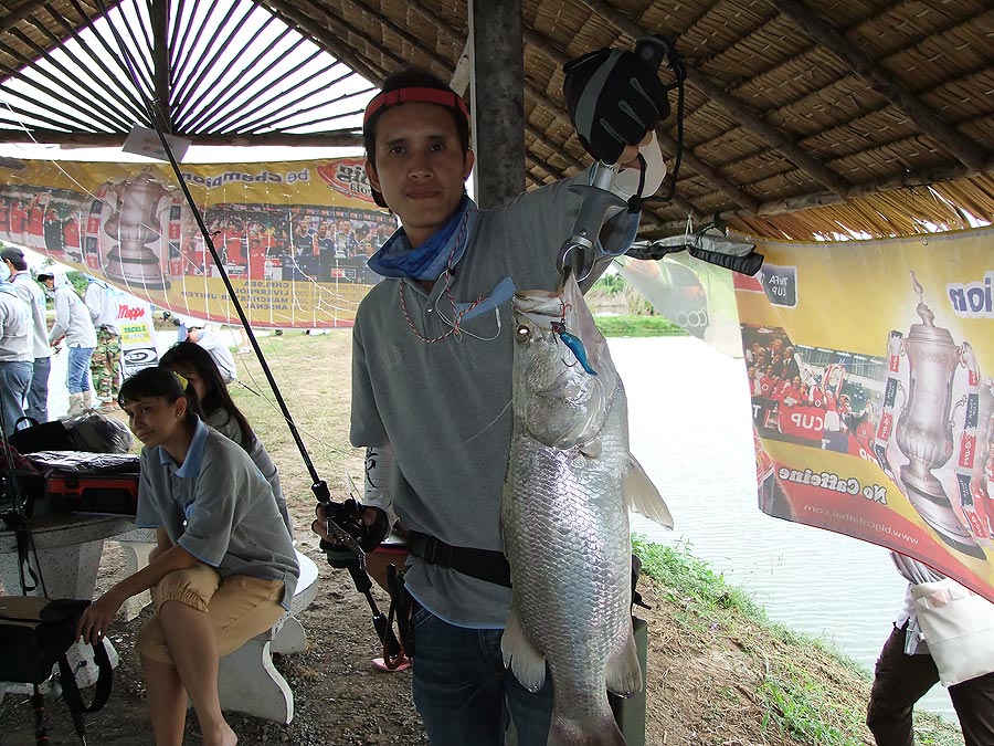 [b]อ้าว หันไป หันมา น้าหนึ่งปลายางเรา เอาปลามาให้ถ่ายรูป อีกตัวแล้วครับท่าน อิอิ[/b]
:cool: :cool: 