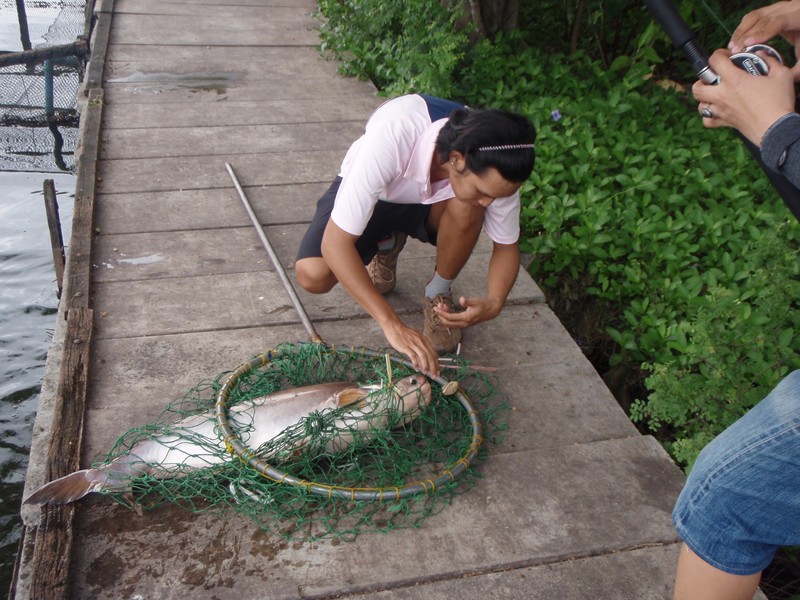 ก็ถือว่าได้นะ...น้านกยังเอาไม่ขึ้นฝั่งเลย...น้าอ๊อดฝีมือกว่าเห็นๆ... :cool: :cool: :cool: