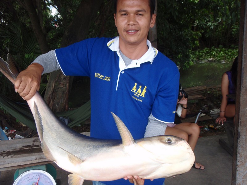 เตรียมขึ้นชั่ง :grin: :grin: