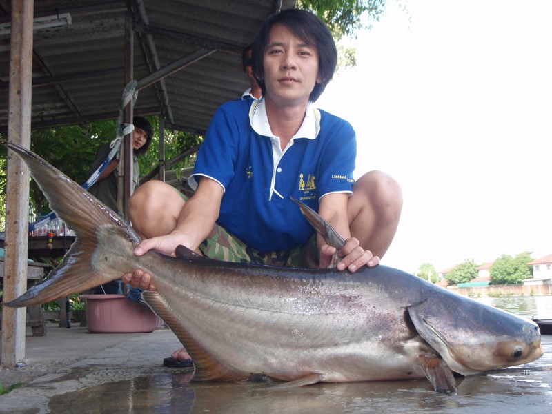 แหล่มเลยน้องบึกด้วย :grin: :grin: