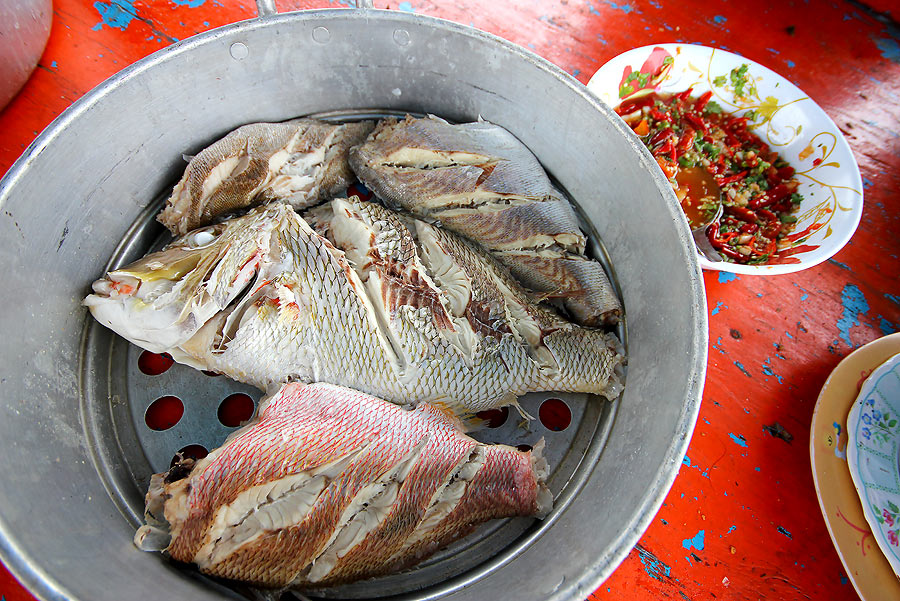  [b]  ปลารวมๆ นึ่ง

เป็นกับข้าวมื้อกลางวันสุดอร่อย

หมูสี สร้อยนกเขา เก๋าเล็ก ข้างปาน

เนื้อนุ
