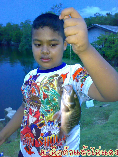 หมูของหล่ออีกครับ

 :laughing: :laughing: :laughing: