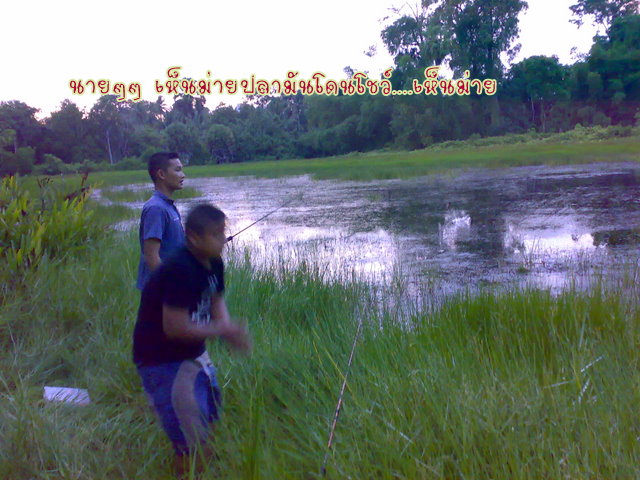 หมายนี้ปลาซ่อนครับ
 :laughing: :laughing: :laughing: