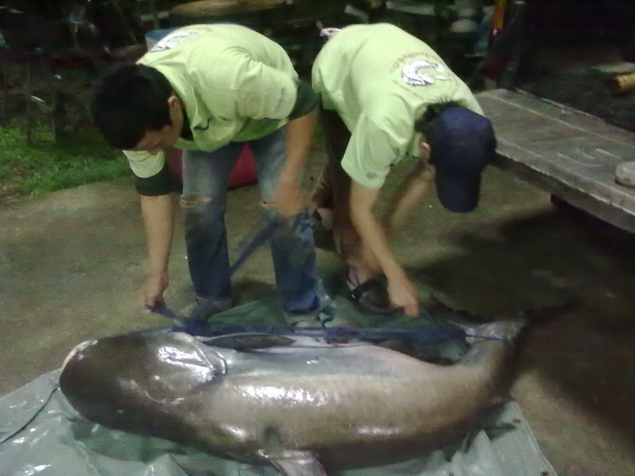 อ็อฟกะเอ็ด :laughing: :laughing: :laughing: