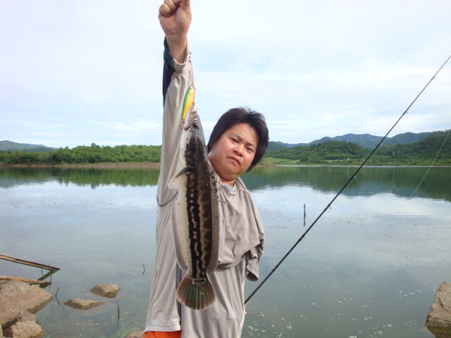 [q][i]อ้างถึง: นกลำน้ำพอง posted: 15-06-2554, 12:10:24[/i]

 :ch