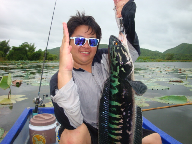  :grin: :grin:ฝากรูปนี้ให้น้า เม่น revo หน่อยนะ