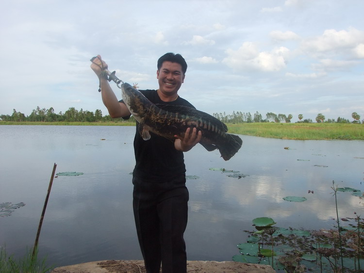 ได้เวลาปลายืมบ้างแระ
 :laughing: :laughing: :laughing: