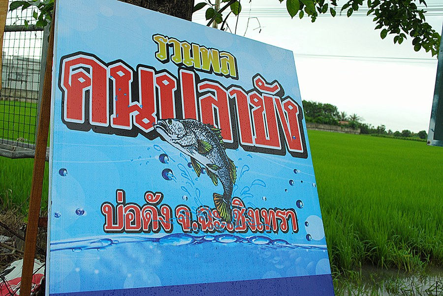 ต่อด้วยงานปลาขัง ไปมาเหมือนกันครับ  :cool: :cool: :cool: :cool:

ดูป้ายก็ทราบน๊ะครับ เพื่อนๆว่า เจ