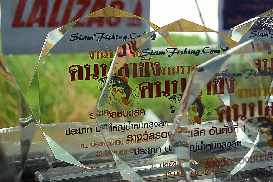 สวยงามมาก โทรฟี่ แห่งความสำเร็จ  :cheer: :cheer: :cheer: :cheer: