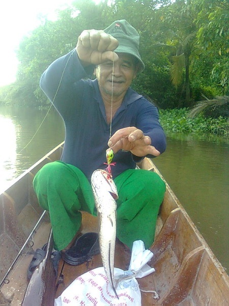 น้า yanyong  กะทู้ล่องเรือนครชัยศรี เหยื่อปลอมน้ำลงมาแล้วเมื่อวานครับ :cheer: