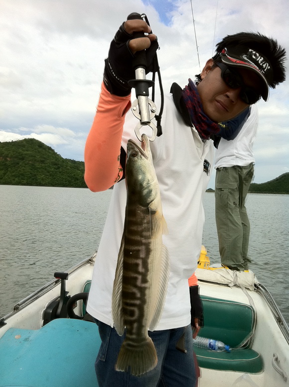 หน่วยตบเด็ก ประจำเรือทริปนี้ครับ 
 :laughing: :laughing: :laughing: