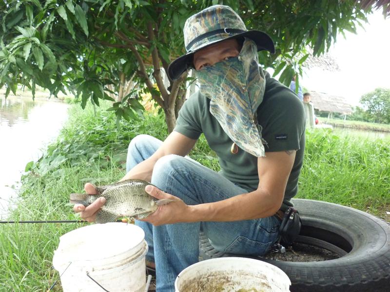 ได้เหมือนกันได้เหมือนกัน   

                  